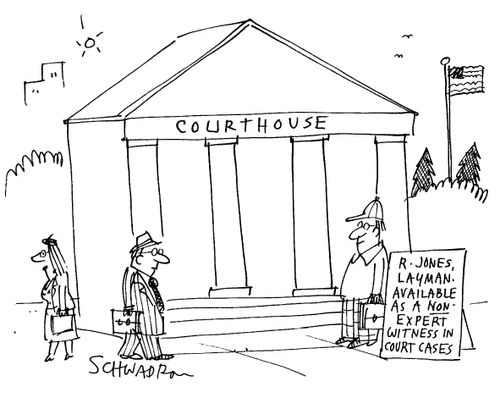 'R. Jones, layman. Available as a non-expert witness in court cases.'