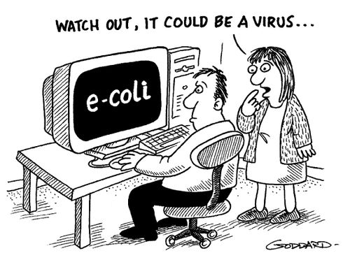 "Watch out, it could be a virus."