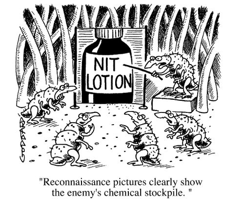 Nit Lotion - "Reconnaissance pictures clearly show the enemy's chemical stockpile."