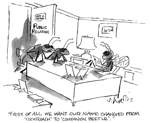 'First of all we want to have our name changed from 'cockroach' to 'companion beetle'.'  (Insect PR).