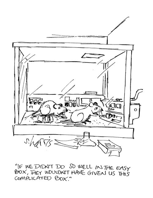 'If we didn't do so well in this easy box, they wouldn't have given us this complicated box.'