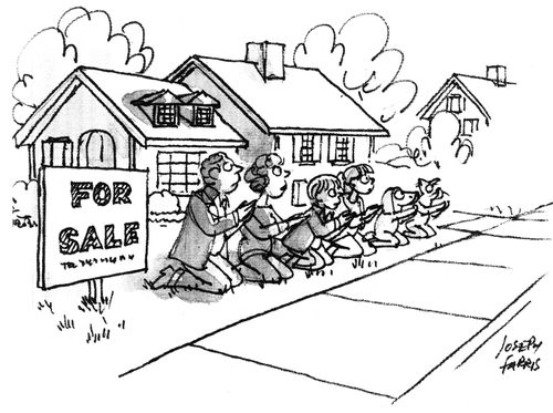 For Sale.