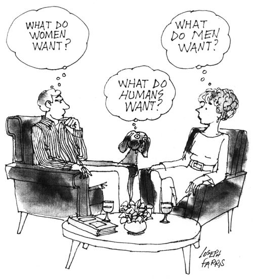 'What do women want?'  'What do humans want?'  'What do men want?'