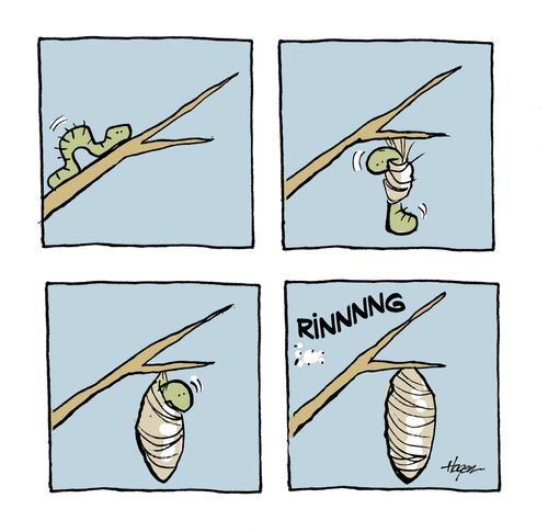 Worm finishes building cocoon and phone rings.