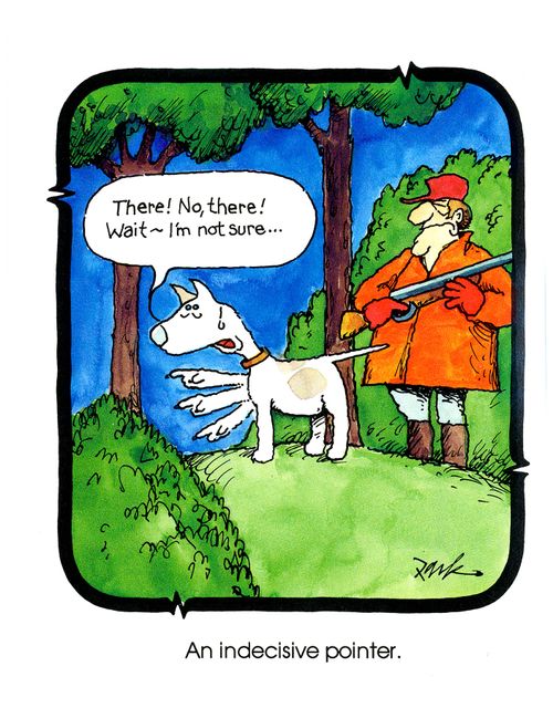 An indecisive pointer.