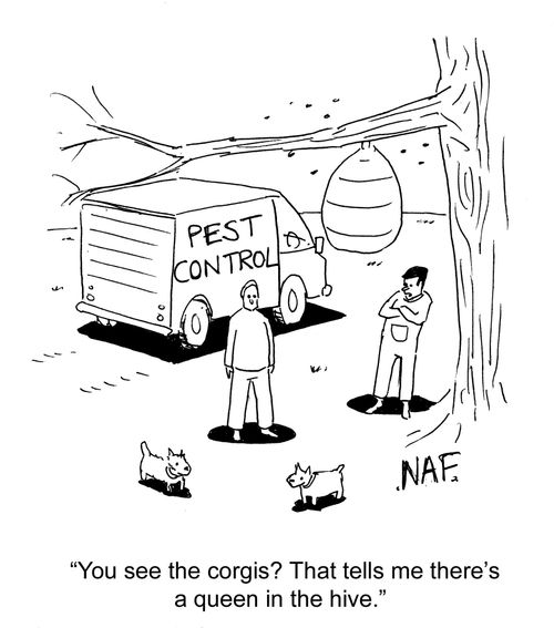'You see the corgis? That tells me there's a queen in the hive.'