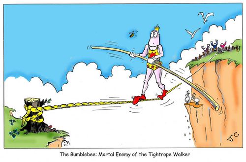 The Bumblebee: Mortal enemy of the tightrope walker