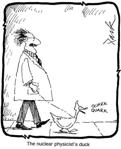 The nuclear physicist's duck.