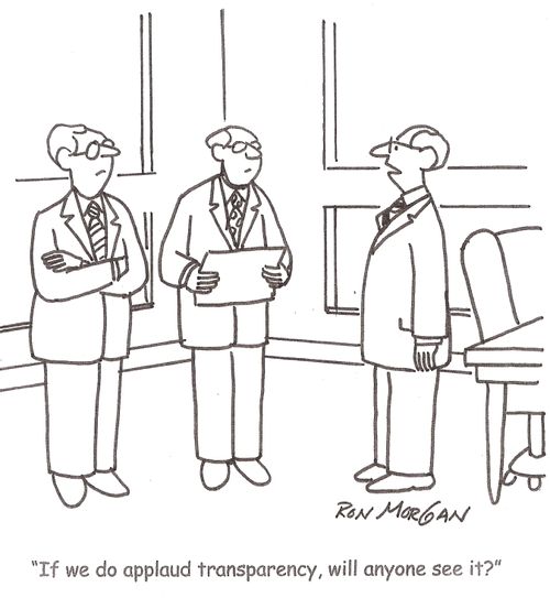 'If we do applaud transparency, will anyone see it?'
