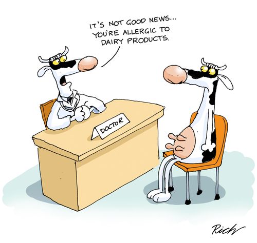 'It's not good news...you're allergic to dairy products.'
