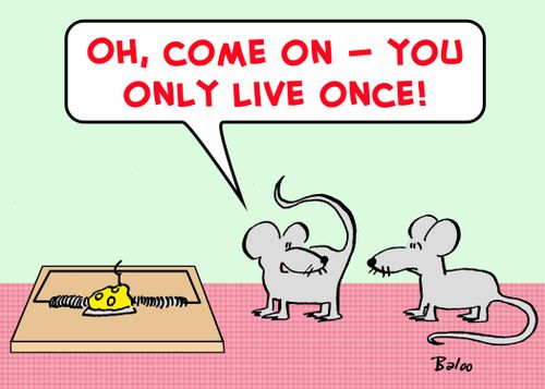 'Oh, come on -- You only live once!'