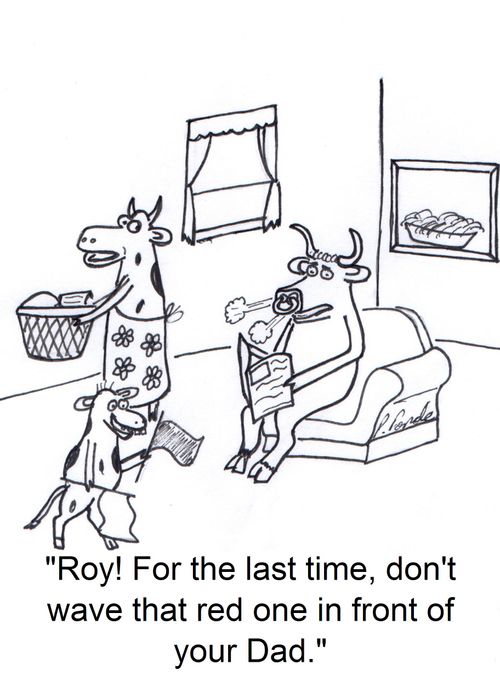 'Roy! For the last time, don't wave that red one in front of your Dad.'