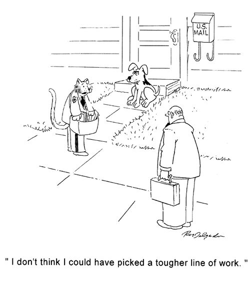 'I don't think I could have picked a tougher line of work.'