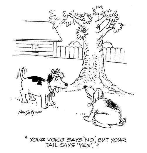 'Your voice says 'no' but your tail says 'yes'.'