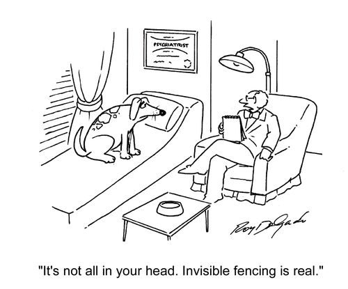 'It's not all in your head. Invisible fencing is real.'