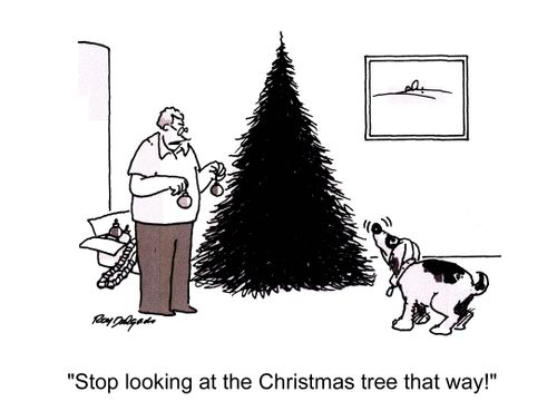 'Stop looking at the Christmas tree that way!'