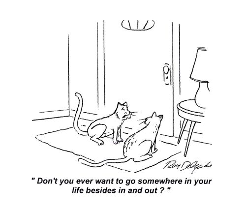'Don't you want to go somewhere in your life besides in and out?'