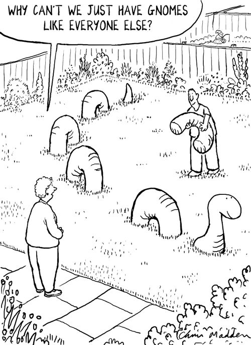 'Why can't we just have gnomes like everyone else?'