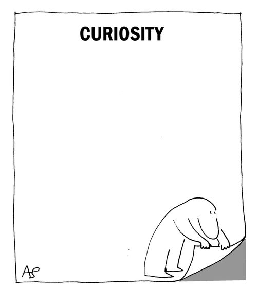 'Curiosity'