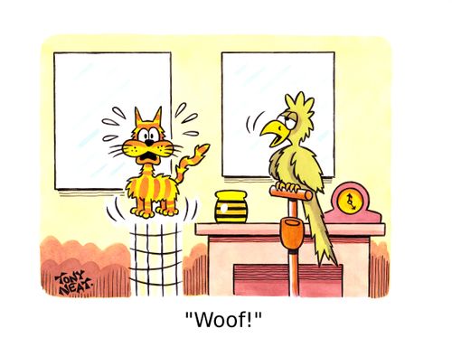 'Woof!'