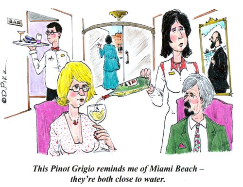 'This Pinot Grigio reminds me of Miami Beach - they're both close to water.'