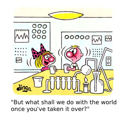 'But what shall we do with the world once you've taken it over?'