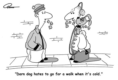 Darn dog hates to go for a walk when it's cold