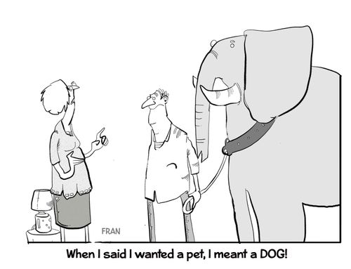 "When I said I wanted a pet, I meant a dog."