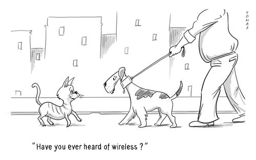 "Have you ever heard of wireless?"