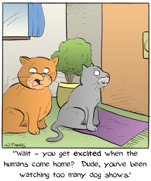 "Wait - you get excited when the humans come hom? Dude, you've been watching too many dog shows."