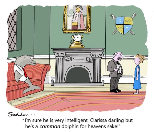 'I`m sure he is very intelligent Clarissa darling but he's a common dolphin for heavens sake!'