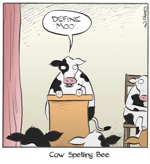 Cow Spelling Bee