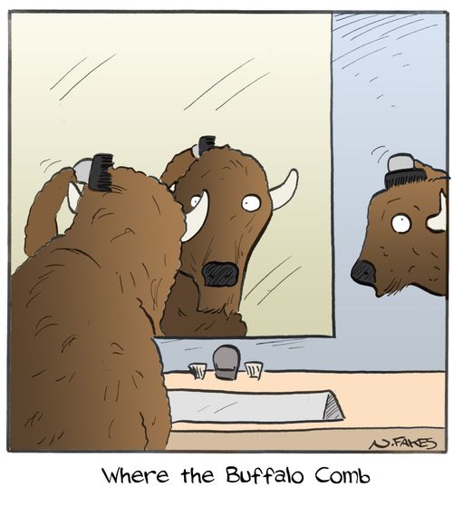 Where the Buffalo Comb