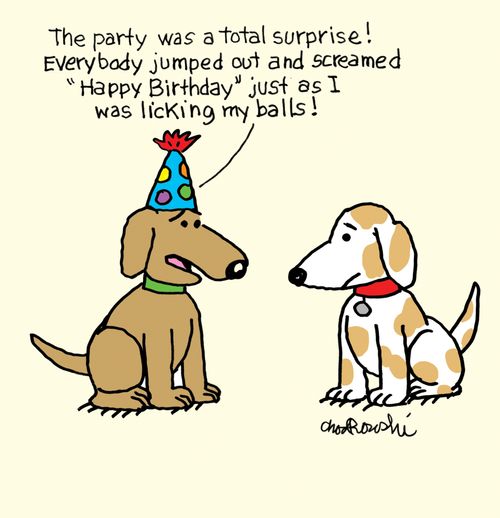 "The party was a total surprise! Everybody jumped out and screamed 'Happy Birthday' just as I was licking my balls!"
