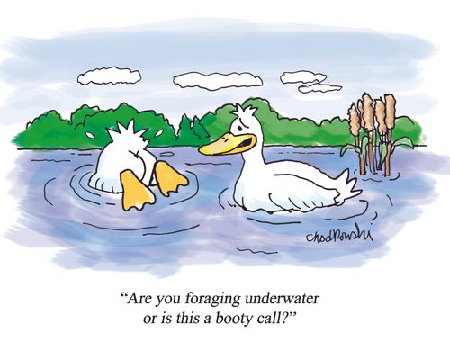"Are you foraging underwater or is this a booty call?"
