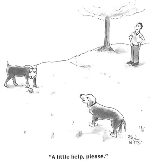 "A little help, please."