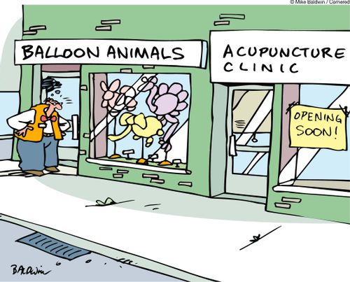 Acupunture Clinic opens next to a Ballon Animal shop.