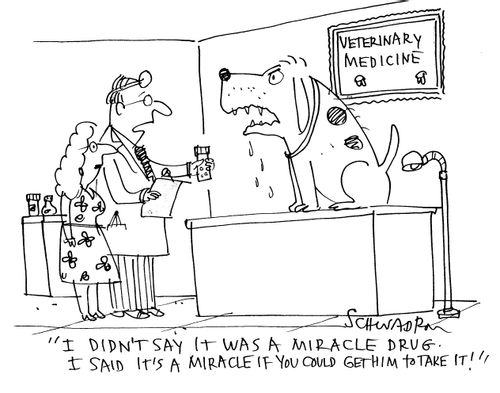 'I didn't say it was a miracle drug. I said it's a miracle if you could get him to take it!'