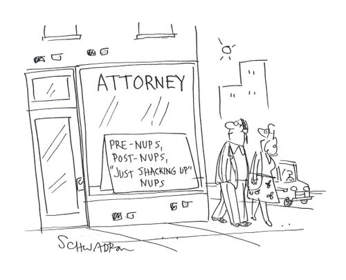 Attorney - Pre-nups, post-nups, just shacking up-nups.