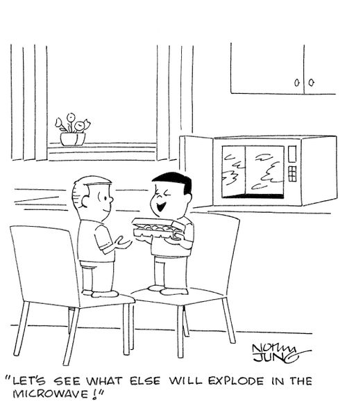 'Let's see what else will explode in the microwave!'