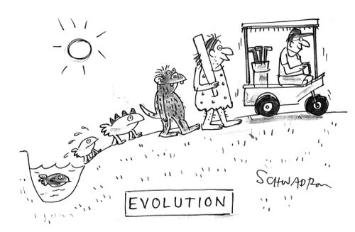 Evolution.