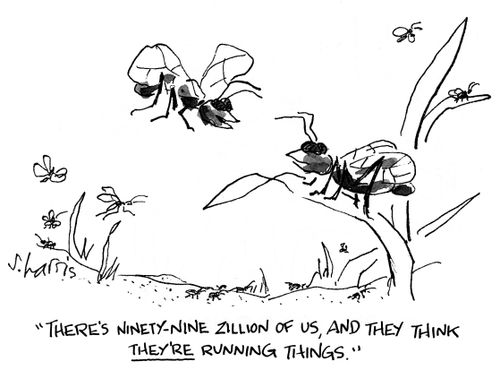 'There's ninety-nine zillion of us, and they think they're running things.'
