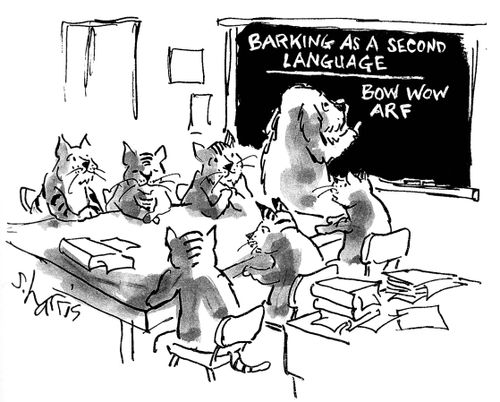 Barking in a second language.