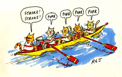 Stroke!  Stroke!  Purr, purr, purr...