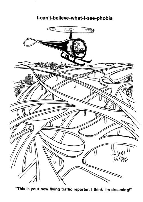 I can't believe what I see phobia.  'This is your new flying traffic reporter.  I think I'm dreaming.'