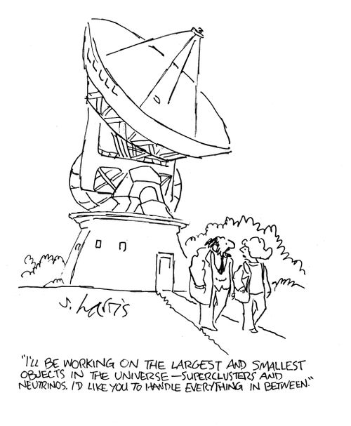 'I'll be working on the largest and smallest objects in the universe - superclusters and netrinos.  I'd like you to handle everything in between.'