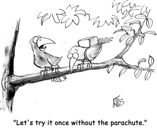 'Let's try it once without the parachute.'