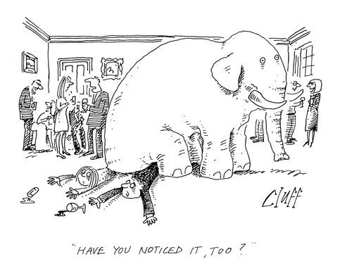 'Have you noticed it, too?'