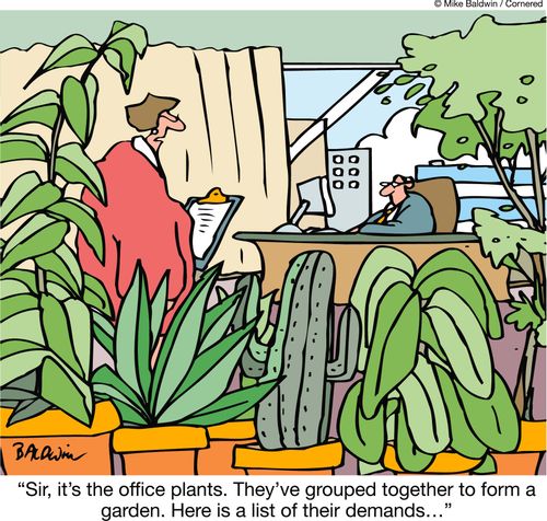 "Sir, it's the office plants. They've grouped together to form a garden. Here is a list of their demands…"