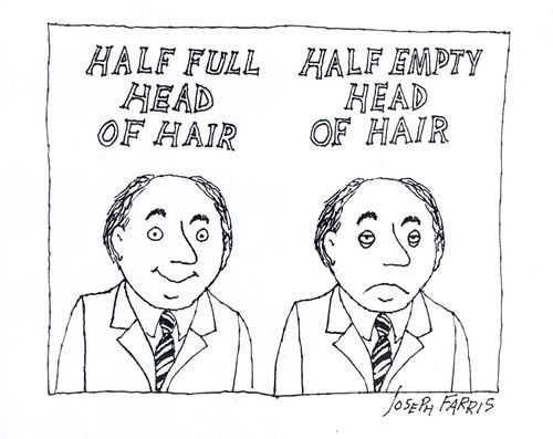 Half full and half empty heads of hair
